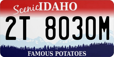 ID license plate 2T8030M