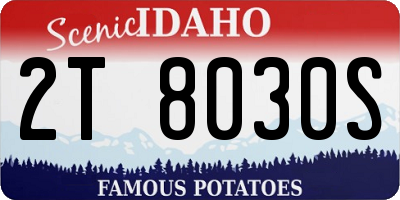 ID license plate 2T8030S