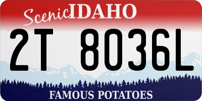 ID license plate 2T8036L