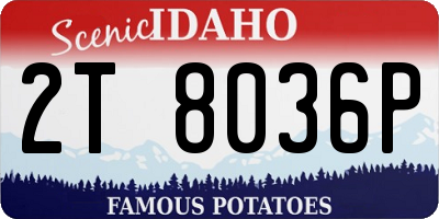 ID license plate 2T8036P