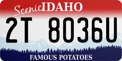 ID license plate 2T8036U