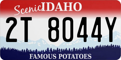ID license plate 2T8044Y
