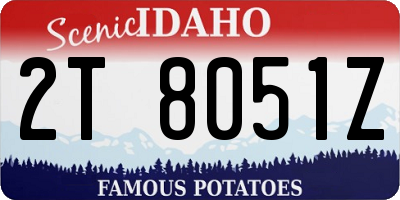 ID license plate 2T8051Z