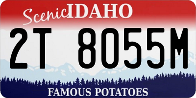 ID license plate 2T8055M