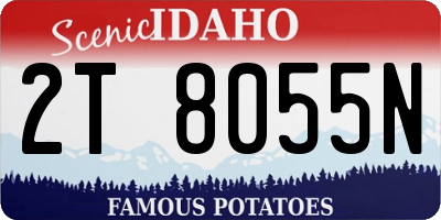 ID license plate 2T8055N