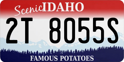 ID license plate 2T8055S