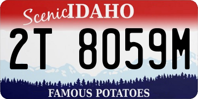 ID license plate 2T8059M