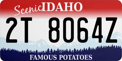 ID license plate 2T8064Z