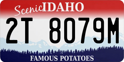 ID license plate 2T8079M