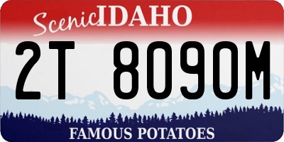 ID license plate 2T8090M