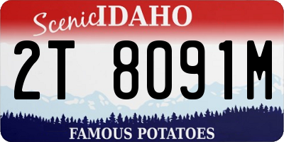ID license plate 2T8091M