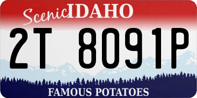 ID license plate 2T8091P