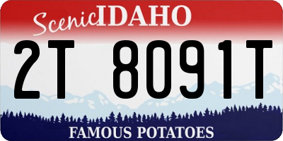 ID license plate 2T8091T