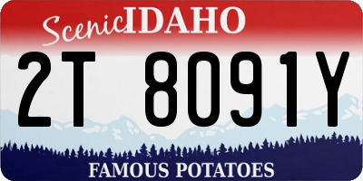 ID license plate 2T8091Y