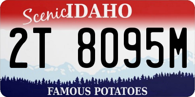 ID license plate 2T8095M
