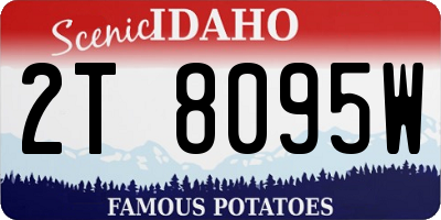 ID license plate 2T8095W