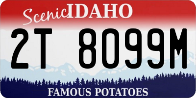 ID license plate 2T8099M