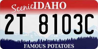 ID license plate 2T8103C