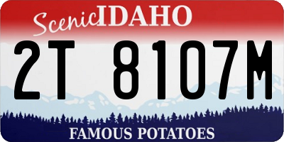 ID license plate 2T8107M
