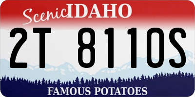 ID license plate 2T8110S