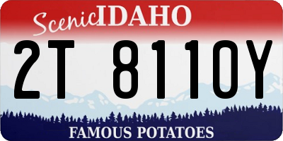 ID license plate 2T8110Y
