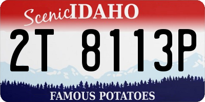 ID license plate 2T8113P