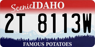ID license plate 2T8113W