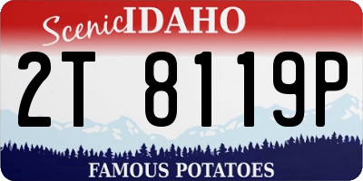 ID license plate 2T8119P