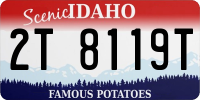ID license plate 2T8119T