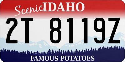 ID license plate 2T8119Z