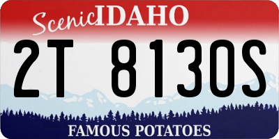 ID license plate 2T8130S