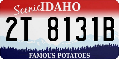 ID license plate 2T8131B