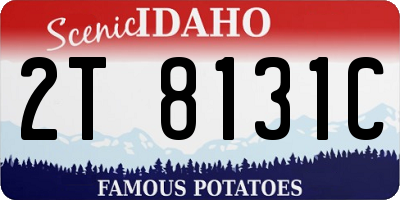 ID license plate 2T8131C