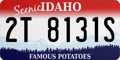 ID license plate 2T8131S