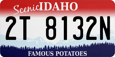 ID license plate 2T8132N