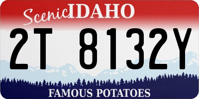 ID license plate 2T8132Y