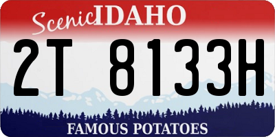 ID license plate 2T8133H