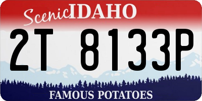 ID license plate 2T8133P
