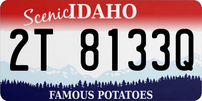 ID license plate 2T8133Q