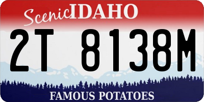 ID license plate 2T8138M