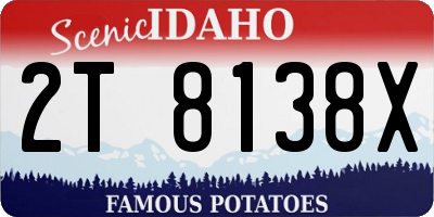 ID license plate 2T8138X