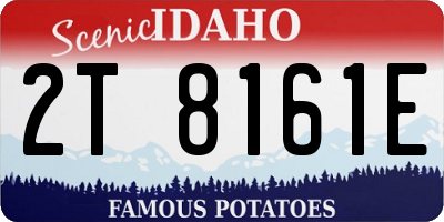 ID license plate 2T8161E