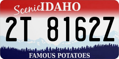ID license plate 2T8162Z