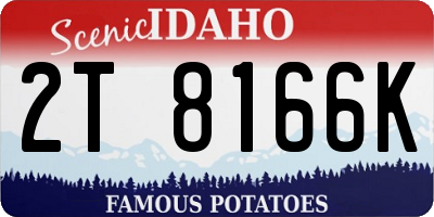 ID license plate 2T8166K