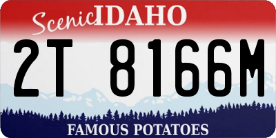 ID license plate 2T8166M