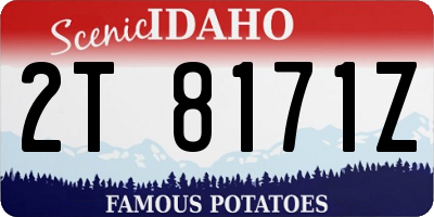 ID license plate 2T8171Z
