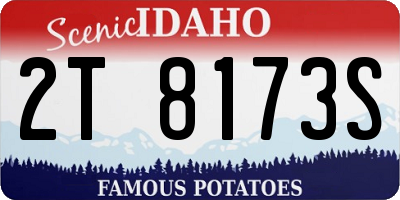 ID license plate 2T8173S