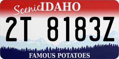 ID license plate 2T8183Z