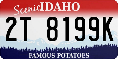ID license plate 2T8199K
