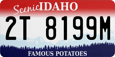 ID license plate 2T8199M